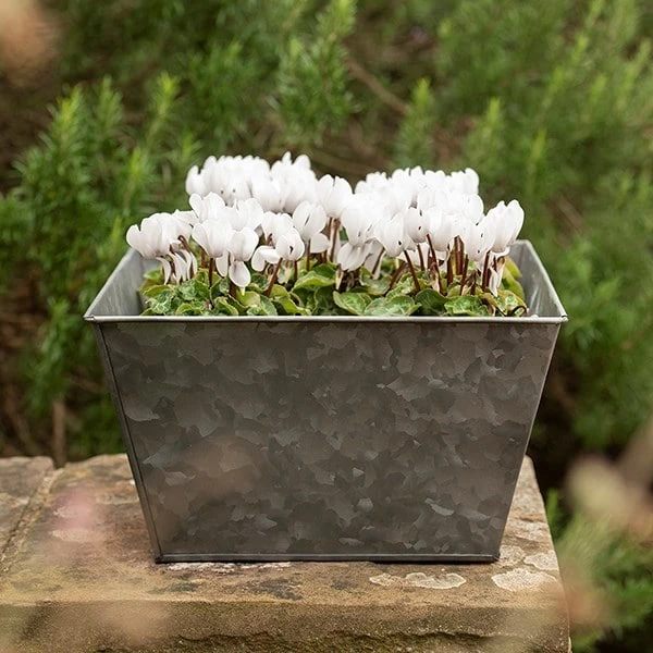 Dark Galvanised Square Planter 5 Dark Galvanised Square Planter - Image 3