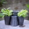 Dark Galvanised Pots - Set Of 6 1 Dark Galvanised Pots - Set Of 6 -Feathered Garden pr2000033979