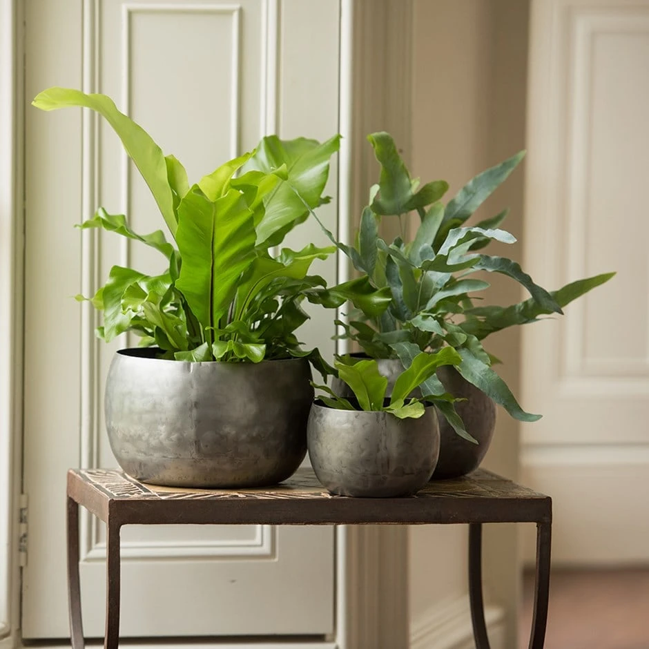 Zinc Bowls - Set Of 3 3 Zinc Bowls - Set Of 3