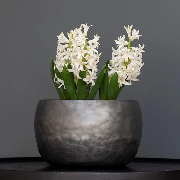 Zinc Bowls - Set Of 3 5 Zinc Bowls - Set Of 3 - Image 3