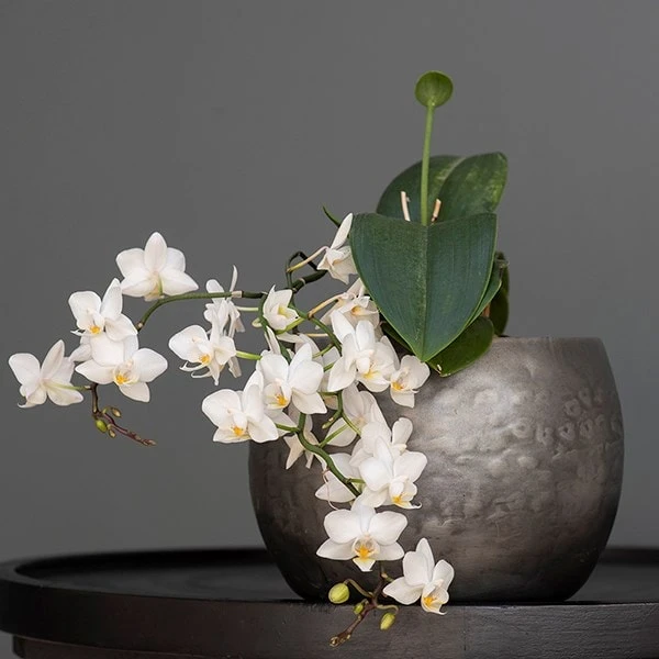 Zinc Bowls - Set Of 3 6 Zinc Bowls - Set Of 3 - Image 4