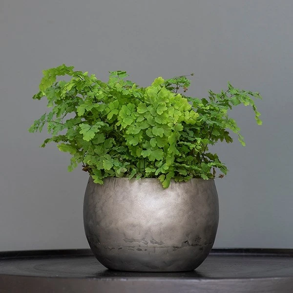 Zinc Bowls - Set Of 3 7 Zinc Bowls - Set Of 3 - Image 5