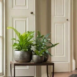 Zinc Bowls - Set Of 3 13 Zinc Bowls - Set Of 3 -Feathered Garden pr2000033999 card6 lg