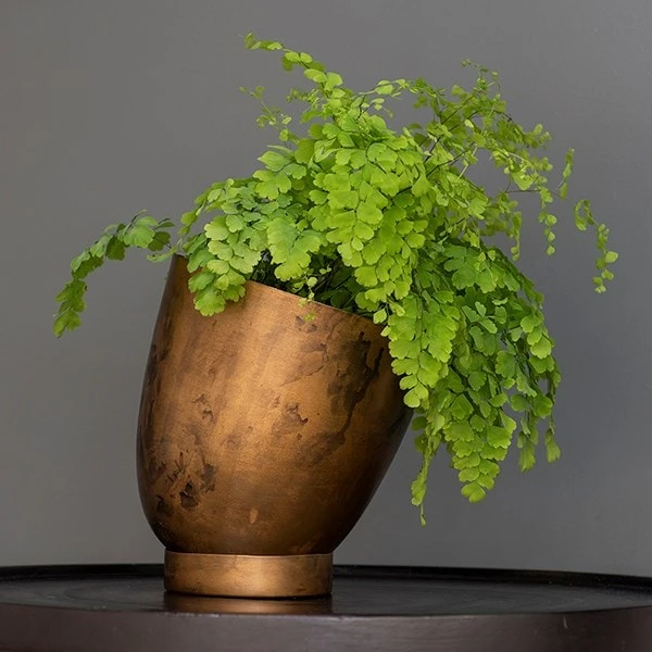 Tilting Pot - Brass 6 Tilting Pot - Brass - Image 4