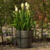 Perennial/bulb Planter With Support 1 Perennial/bulb Planter With Support -Feathered Garden pr2000034023