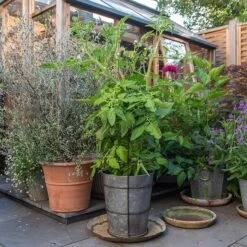 Planter With Surround Support -Feathered Garden pr2000034024 card3 lg