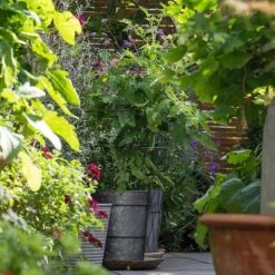 Planter With Surround Support -Feathered Garden pr2000034024 card4 lg