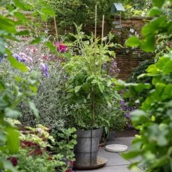 Planter With Surround Support -Feathered Garden pr2000034024 card6 lg