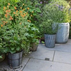 Planter In Lattice Basket Surround -Feathered Garden pr2000034026 card6 lg