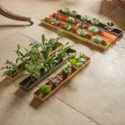 Brushed Brass Tray 7 Brushed Brass Tray -Feathered Garden pr2000034034 card3 lg