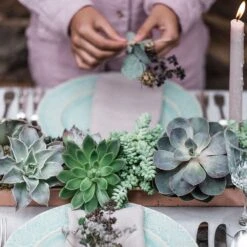 Brushed Copper Tray 11 Brushed Copper Tray -Feathered Garden pr2000034036 card3 lg