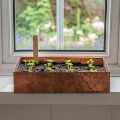 Brushed Copper Seed Tray -Feathered Garden pr2000034042 card2 lg