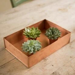 Brushed Copper Seed Tray -Feathered Garden pr2000034042 card4 lg
