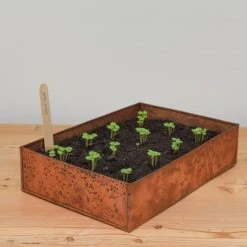 Brushed Copper Seed Tray -Feathered Garden pr2000034042 card5 lg