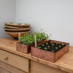 Brushed Copper Seed Tray -Feathered Garden pr2000034042 card7 lg