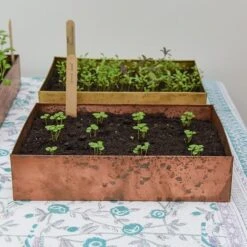 Brushed Copper Seed Tray -Feathered Garden pr2000034042 card8 lg