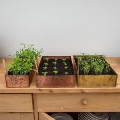 Brushed Brass Seed Tray 17 Brushed Brass Seed Tray -Feathered Garden pr2000034043 card7 lg