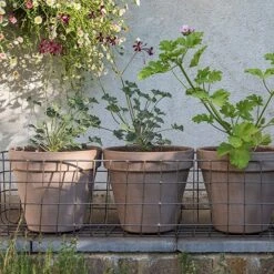 Pot Window Basket 7 Pot Window Basket -Feathered Garden pr2000034049 card3 lg