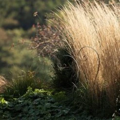 Border Scroll Hook Stake - Large -Feathered Garden pr2000034064 card4 lg