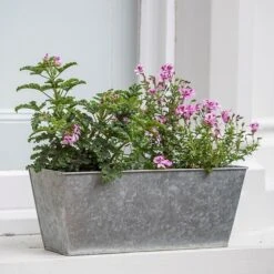Galvanised Window Trough 9 Galvanised Window Trough -Feathered Garden pr2000035781 card2 lg