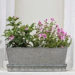 Galvanised Window Trough 10 Galvanised Window Trough -Feathered Garden pr2000035781 card3 lg