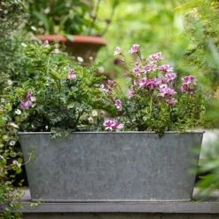 Galvanised Window Trough 12 Galvanised Window Trough -Feathered Garden pr2000035781 card5 lg