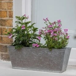 Galvanised Window Trough 13 Galvanised Window Trough -Feathered Garden pr2000035781 card6 lg