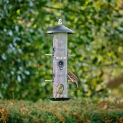 Giant Seed Bird Feeder 6 Giant Seed Bird Feeder -Feathered Garden pr2000037386 card2 lg