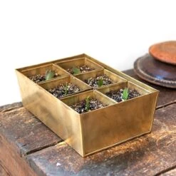 Brass Tray With 6 Brass Grow Pods 11 Brass Tray With 6 Brass Grow Pods -Feathered Garden pr2000037485 card2 lg