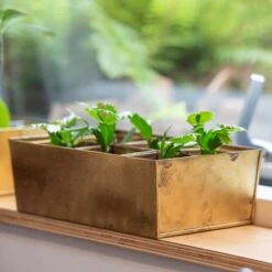 Brass Tray With 6 Brass Grow Pods 13 Brass Tray With 6 Brass Grow Pods -Feathered Garden pr2000037485 card4 lg