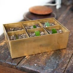 Brass Tray With 6 Brass Grow Pods 16 Brass Tray With 6 Brass Grow Pods -Feathered Garden pr2000037485 card7 lg