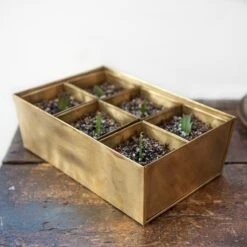 Brass Tray With 6 Brass Grow Pods 17 Brass Tray With 6 Brass Grow Pods -Feathered Garden pr2000037485 card9 lg