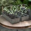 Galvanised Tray With 12 Grow Pods 1 Galvanised Tray With 12 Grow Pods -Feathered Garden pr2000037486