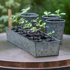 Galvanised Tray With 12 Grow Pods 9 Galvanised Tray With 12 Grow Pods -Feathered Garden pr2000037486 card2 lg
