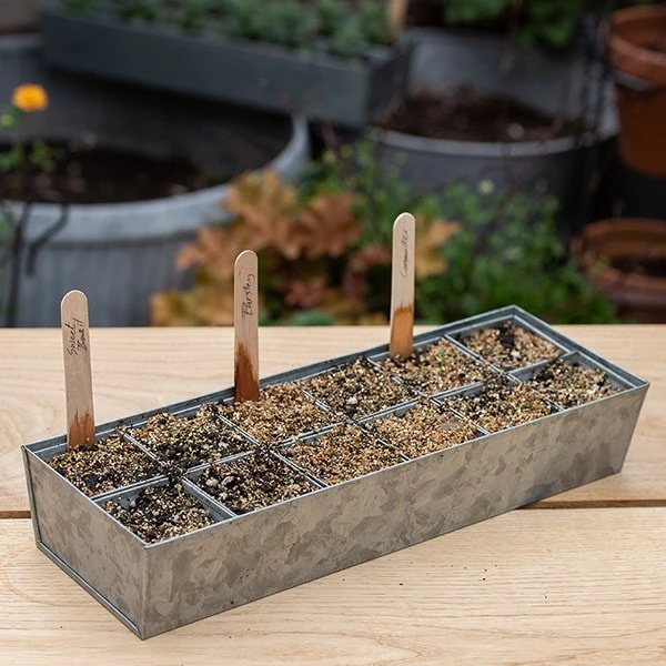 Galvanised Tray With 12 Grow Pods 8 Galvanised Tray With 12 Grow Pods - Image 6