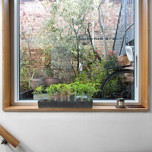 Galvanised Tray With 16 Grow Pods 4 Galvanised Tray With 16 Grow Pods - Image 2