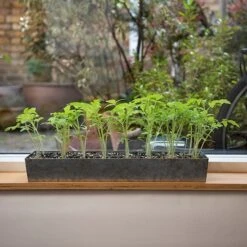 Galvanised Tray With 16 Grow Pods 15 Galvanised Tray With 16 Grow Pods -Feathered Garden pr2000037487 card6 lg