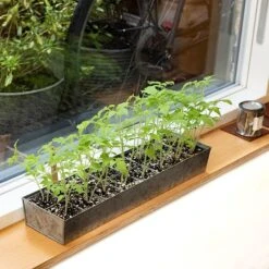 Galvanised Tray With 16 Grow Pods 16 Galvanised Tray With 16 Grow Pods -Feathered Garden pr2000037487 card7 lg