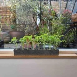 Galvanised Tray With 16 Grow Pods 17 Galvanised Tray With 16 Grow Pods -Feathered Garden pr2000037487 card8 lg