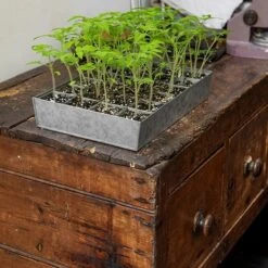 Galvanised Tray With 24 Grow Pods 12 Galvanised Tray With 24 Grow Pods -Feathered Garden pr2000037488 card5 lg