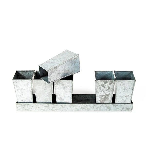 Galvanised Tray With 6 Tall Root Trainer Pods 6 Galvanised Tray With 6 Tall Root Trainer Pods - Image 4