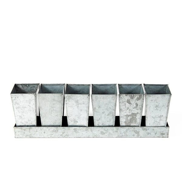 Galvanised Tray With 6 Tall Root Trainer Pods 8 Galvanised Tray With 6 Tall Root Trainer Pods - Image 6