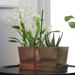 Square Copper Pot And Saucer -Feathered Garden pr2000037495 card3 lg