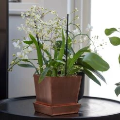 Square Copper Pot And Saucer -Feathered Garden pr2000037495 card6 lg