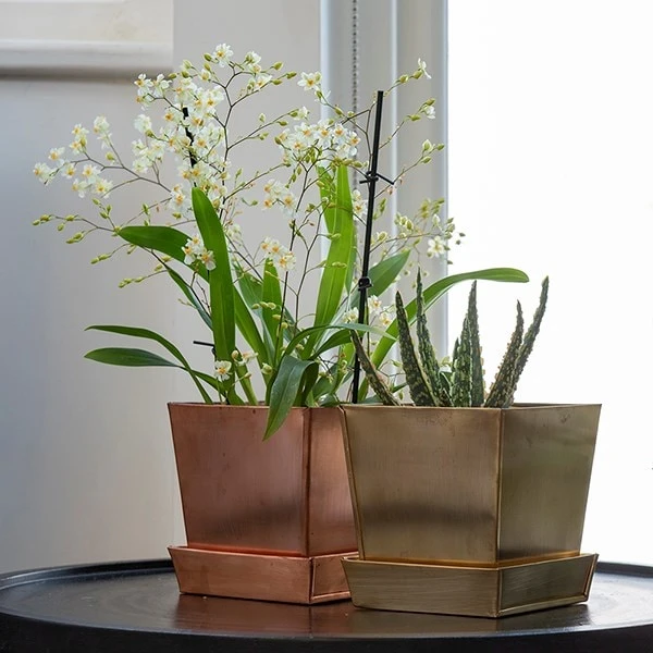 Square Brass Pot And Saucer 4 Square Brass Pot And Saucer - Image 2