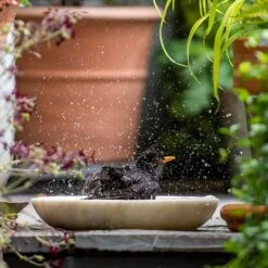 Turned White Marble Bird Bowl 14 Turned White Marble Bird Bowl -Feathered Garden pr2000037501 card4 lg