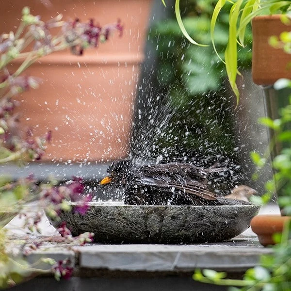 Turned Green Marble Bird Bowl 3 Turned Green Marble Bird Bowl - Image 2