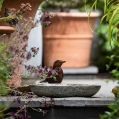 Turned Green Marble Bird Bowl 13 Turned Green Marble Bird Bowl -Feathered Garden pr2000037502 card4 lg