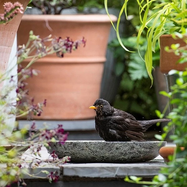 Turned Green Marble Bird Bowl 6 Turned Green Marble Bird Bowl - Image 5