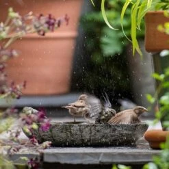 Turned Green Marble Bird Bowl 16 Turned Green Marble Bird Bowl -Feathered Garden pr2000037502 card7 lg